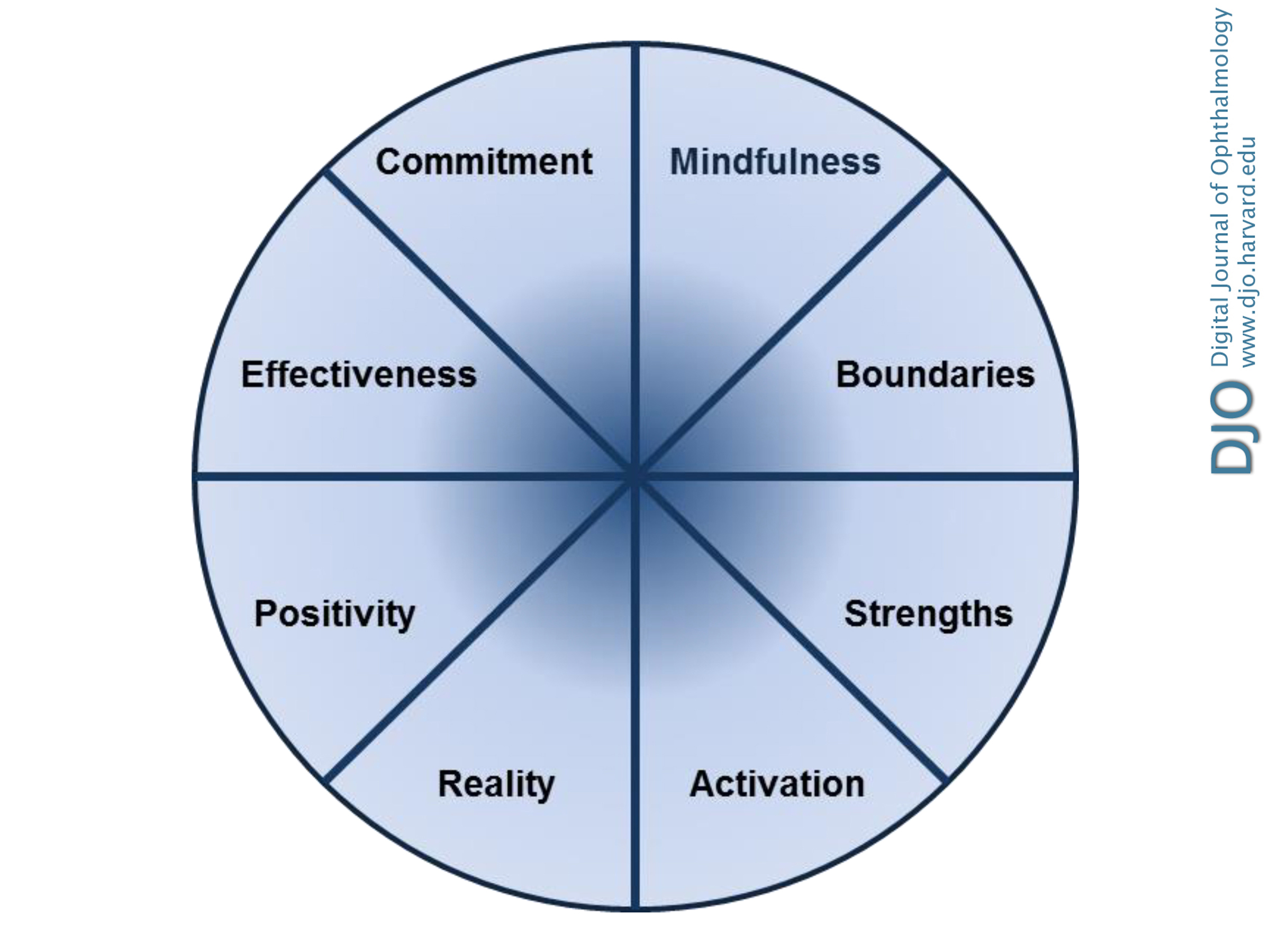 Wheel of skills for physician well-being